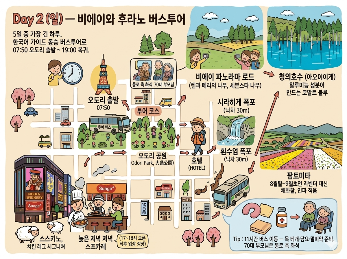 Day 2 일러스트 — 비에이와 후라노 버스투어